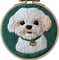 DIY Punch Needle Kit – Cute Maltese Dog Embroidery Set for Beginners with Hoop, Yarn Starter Craft for Home Decor, 20x20cm